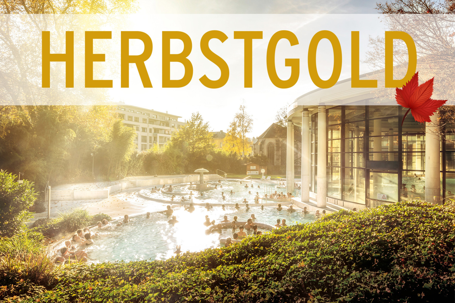 Herbstgold Eventbild Kacheln